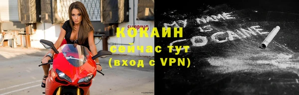 ешки Горняк