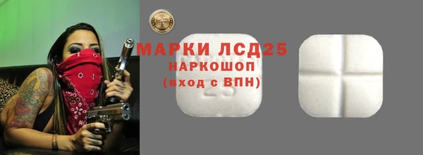 ешки Горняк