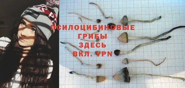 прущий лед Горнозаводск